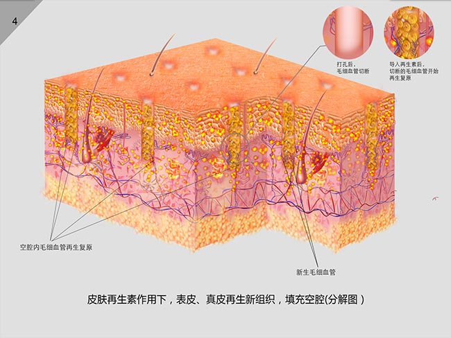zoty��ŷ��(�й����޹�˾)�ٷ���վ