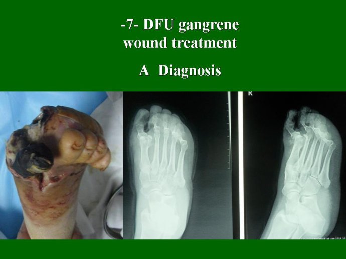 zoty��ŷ��(�й����޹�˾)�ٷ���վ