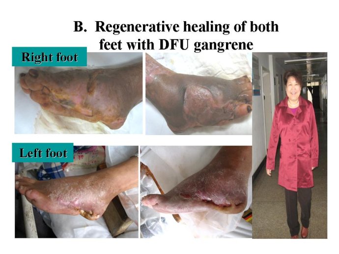 zoty��ŷ��(�й����޹�˾)�ٷ���վ