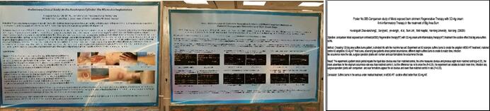 zoty��ŷ��(�й����޹�˾)�ٷ���վ