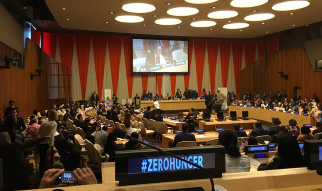 zoty��ŷ��(�й����޹�˾)�ٷ���վ