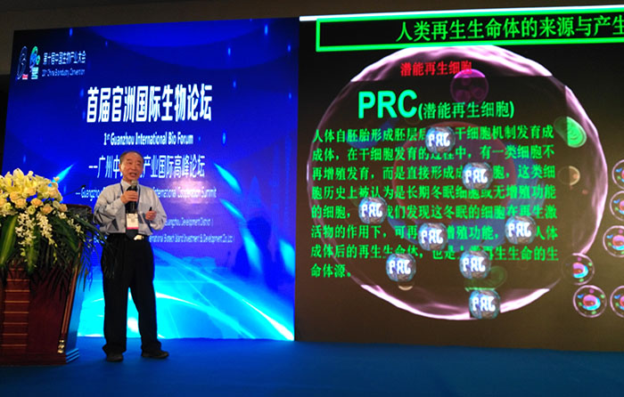 zoty��ŷ��(�й����޹�˾)�ٷ���վ